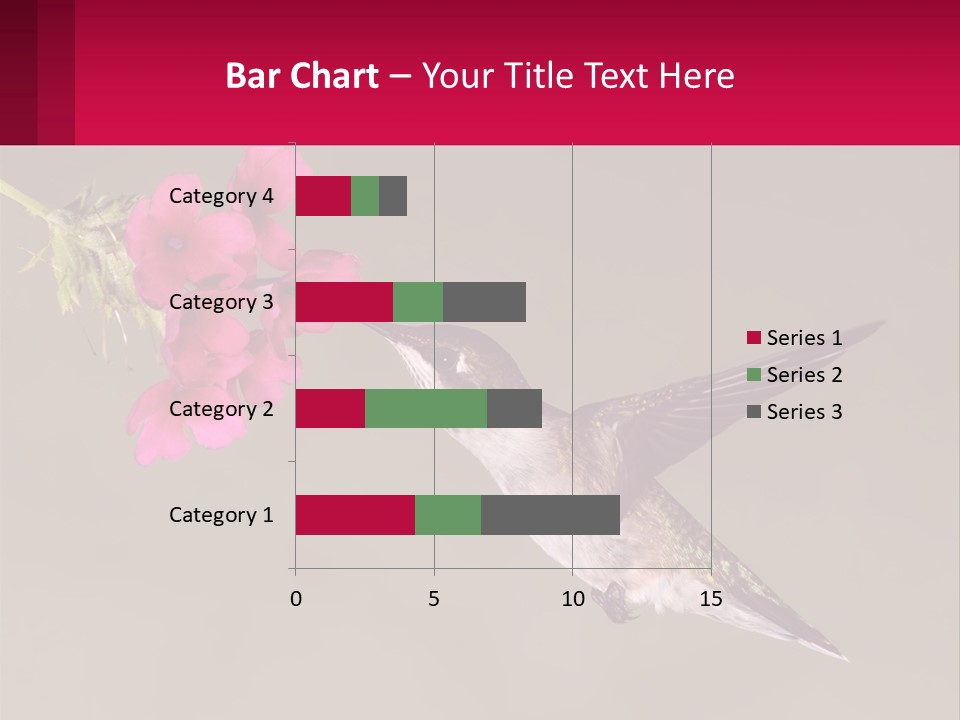 Lifestyle Pensioner Elderly PowerPoint Template