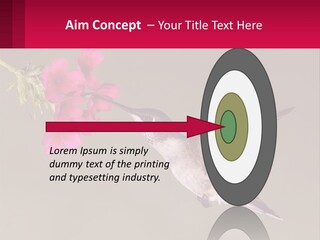 Lifestyle Pensioner Elderly PowerPoint Template