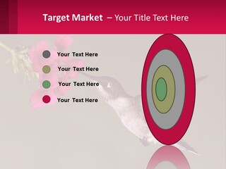 Lifestyle Pensioner Elderly PowerPoint Template