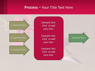 Lifestyle Pensioner Elderly PowerPoint Template