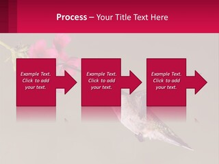 Lifestyle Pensioner Elderly PowerPoint Template