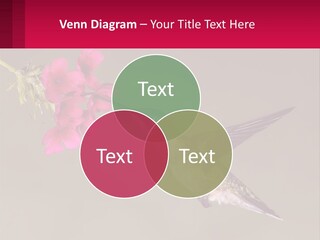 Lifestyle Pensioner Elderly PowerPoint Template