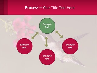 Lifestyle Pensioner Elderly PowerPoint Template