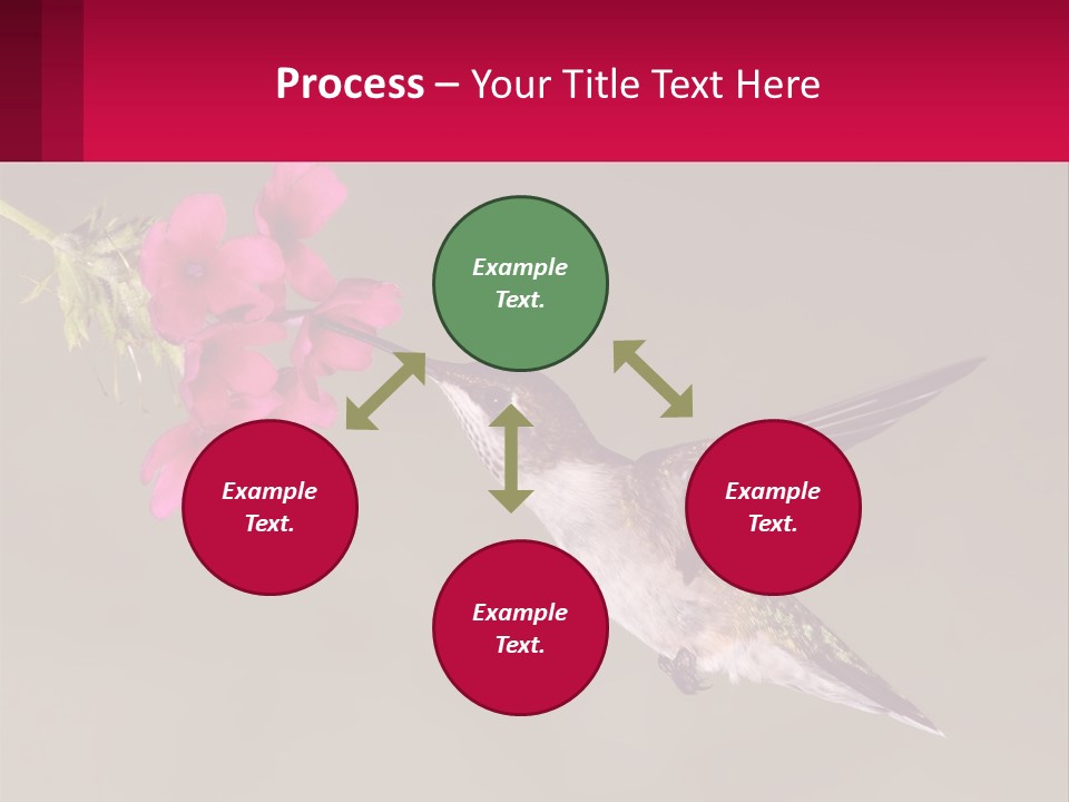 Lifestyle Pensioner Elderly PowerPoint Template