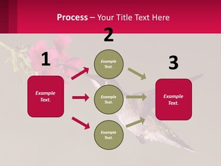 Lifestyle Pensioner Elderly PowerPoint Template