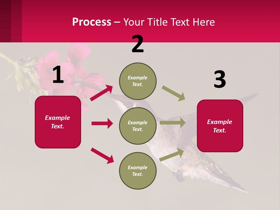 Lifestyle Pensioner Elderly PowerPoint Template