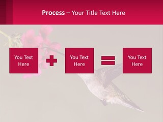 Lifestyle Pensioner Elderly PowerPoint Template