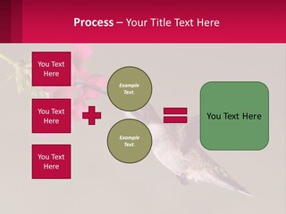 Lifestyle Pensioner Elderly PowerPoint Template