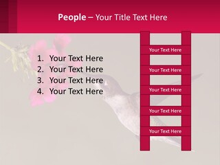 Lifestyle Pensioner Elderly PowerPoint Template