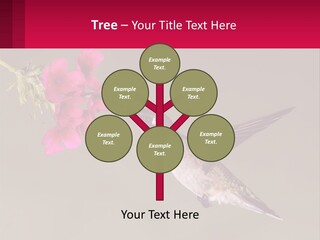 Lifestyle Pensioner Elderly PowerPoint Template