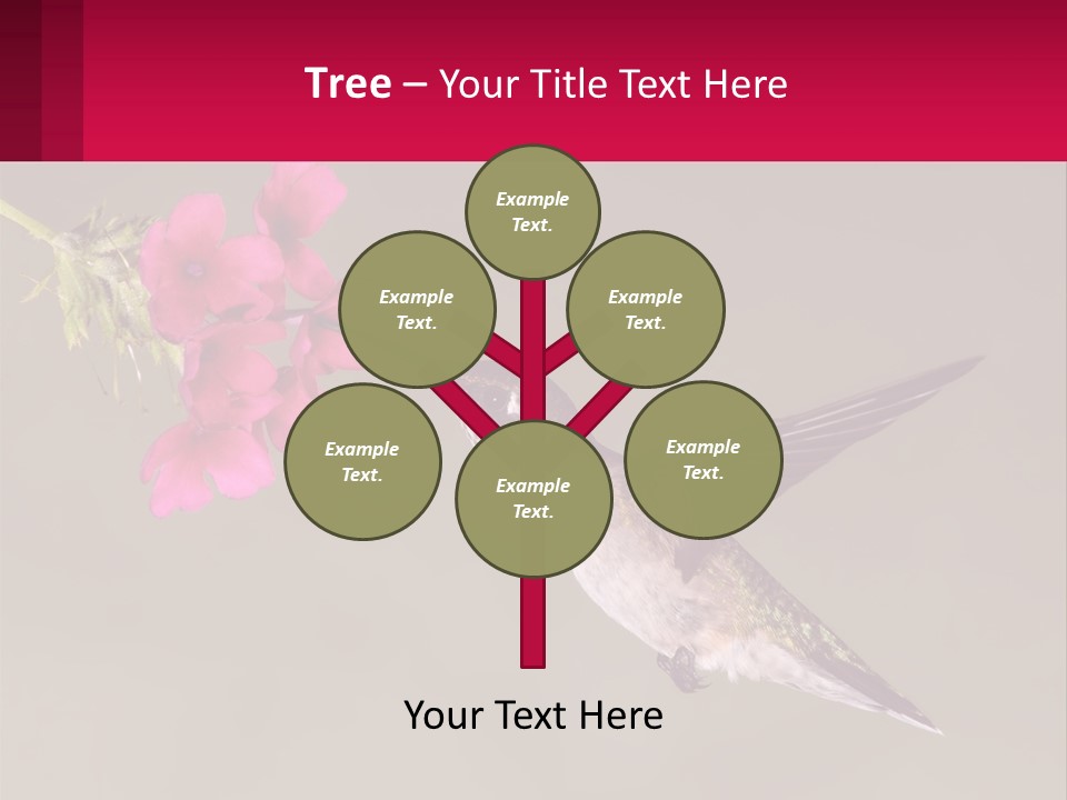 Lifestyle Pensioner Elderly PowerPoint Template