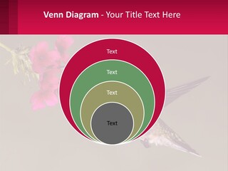 Lifestyle Pensioner Elderly PowerPoint Template