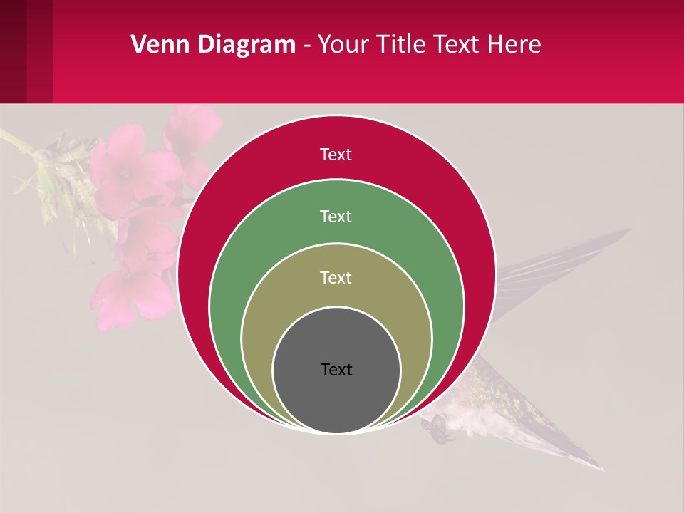 Lifestyle Pensioner Elderly PowerPoint Template