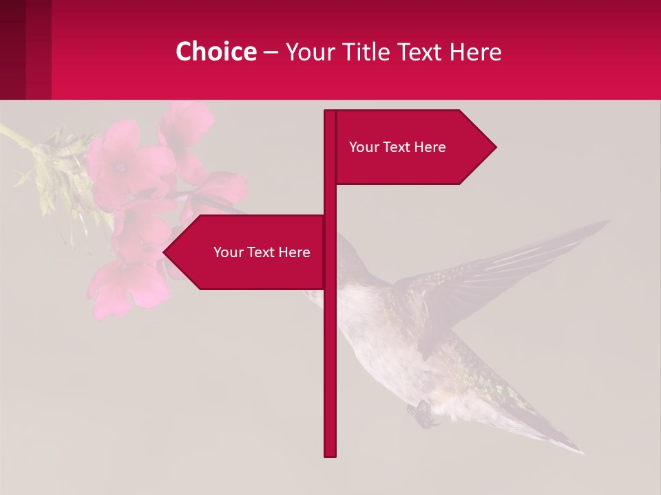 Lifestyle Pensioner Elderly PowerPoint Template