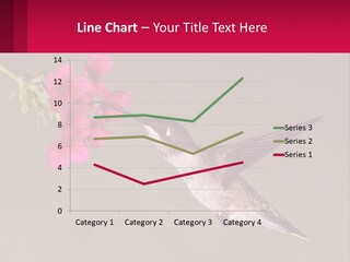 Lifestyle Pensioner Elderly PowerPoint Template
