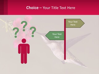 Lifestyle Pensioner Elderly PowerPoint Template