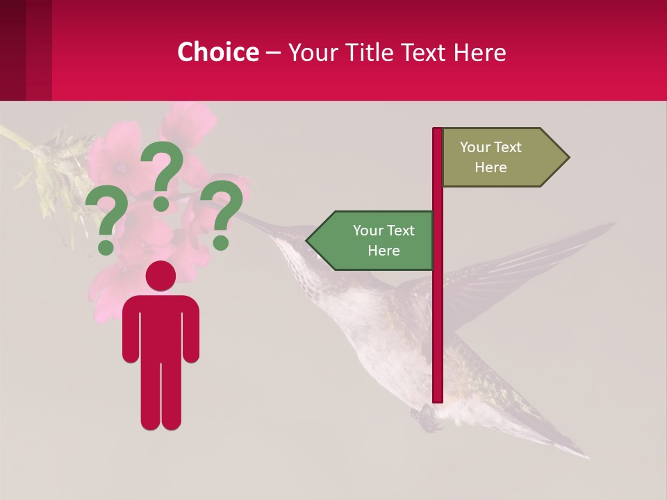 Lifestyle Pensioner Elderly PowerPoint Template