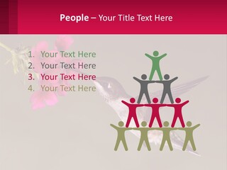 Lifestyle Pensioner Elderly PowerPoint Template