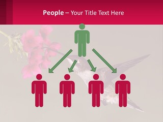 Lifestyle Pensioner Elderly PowerPoint Template