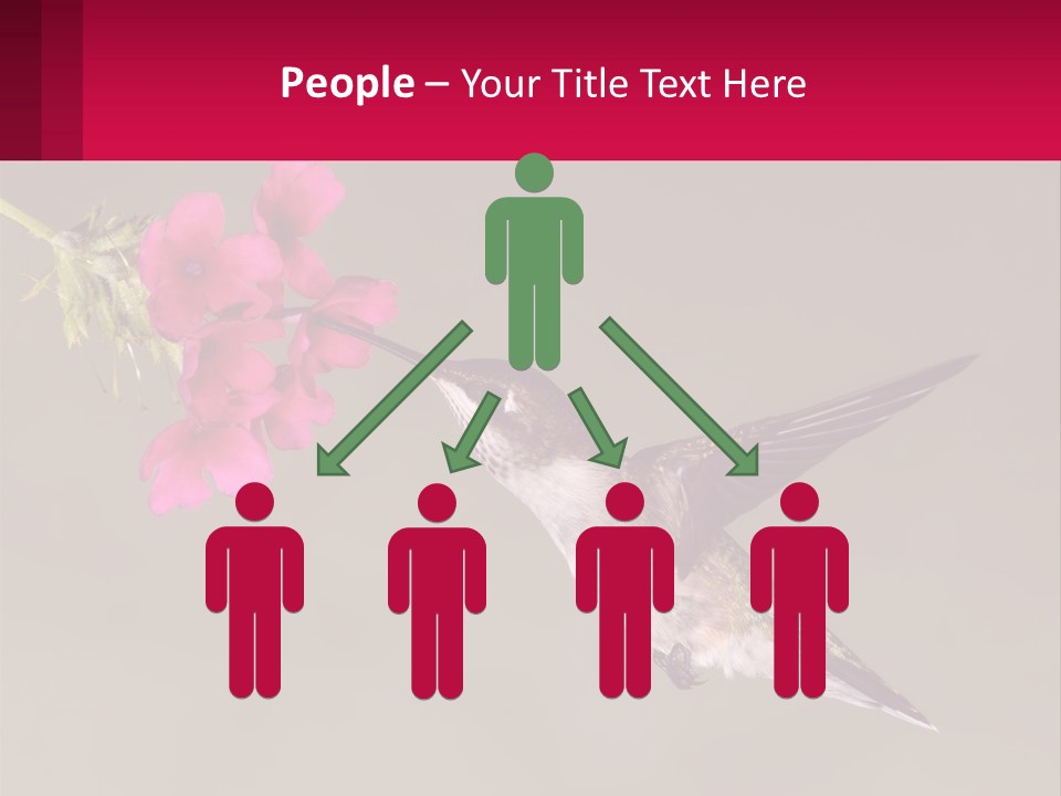 Lifestyle Pensioner Elderly PowerPoint Template