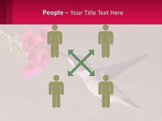 Lifestyle Pensioner Elderly PowerPoint Template