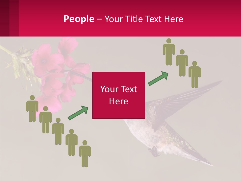 Lifestyle Pensioner Elderly PowerPoint Template