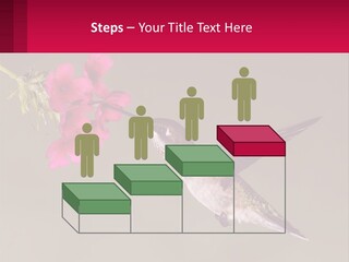 Lifestyle Pensioner Elderly PowerPoint Template