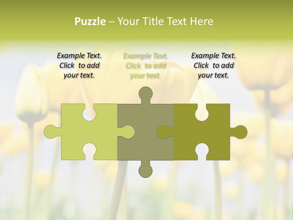 Caucasian Coastal Beach PowerPoint Template