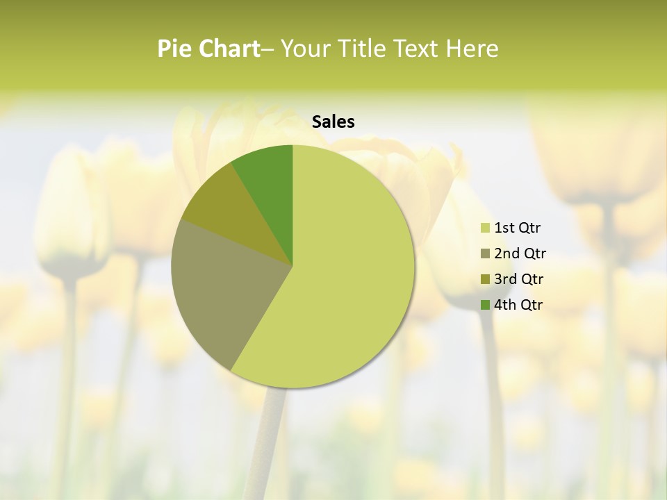 Caucasian Coastal Beach PowerPoint Template