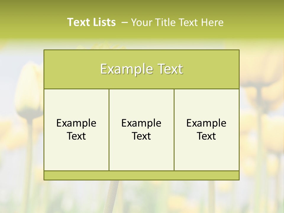 Caucasian Coastal Beach PowerPoint Template