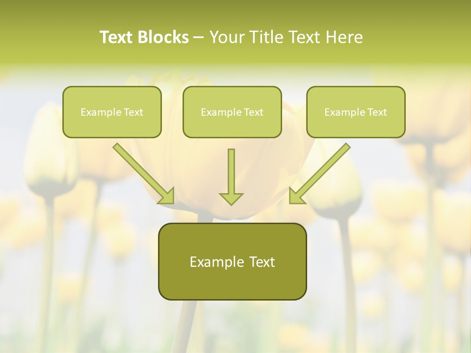 Caucasian Coastal Beach PowerPoint Template