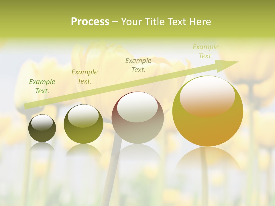 Caucasian Coastal Beach PowerPoint Template