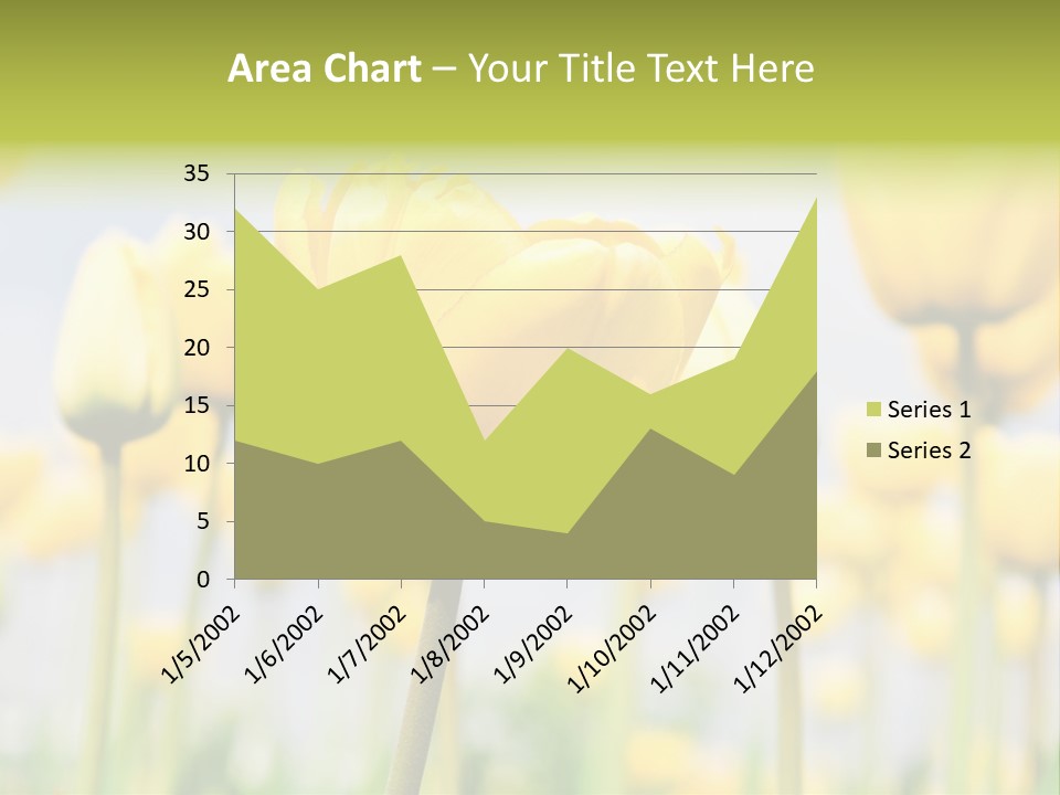 Caucasian Coastal Beach PowerPoint Template