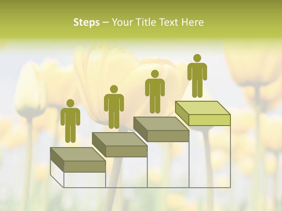 Caucasian Coastal Beach PowerPoint Template