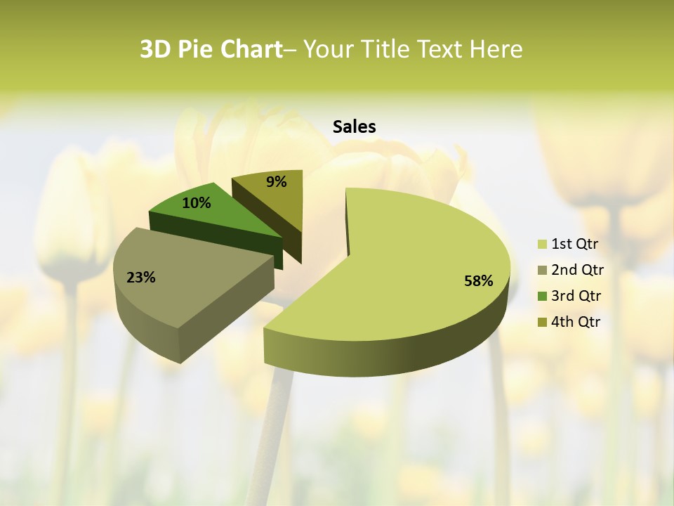 Caucasian Coastal Beach PowerPoint Template
