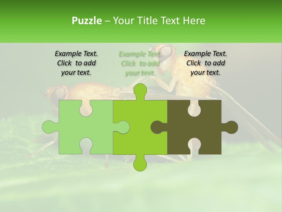 Standing Life Pensioner PowerPoint Template