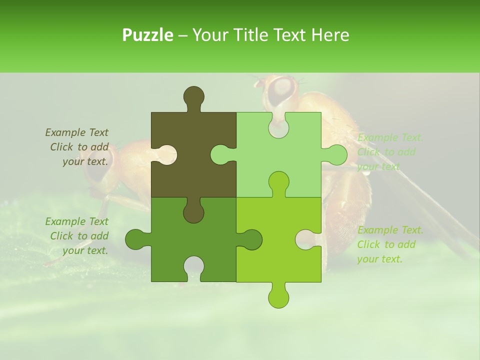 Standing Life Pensioner PowerPoint Template