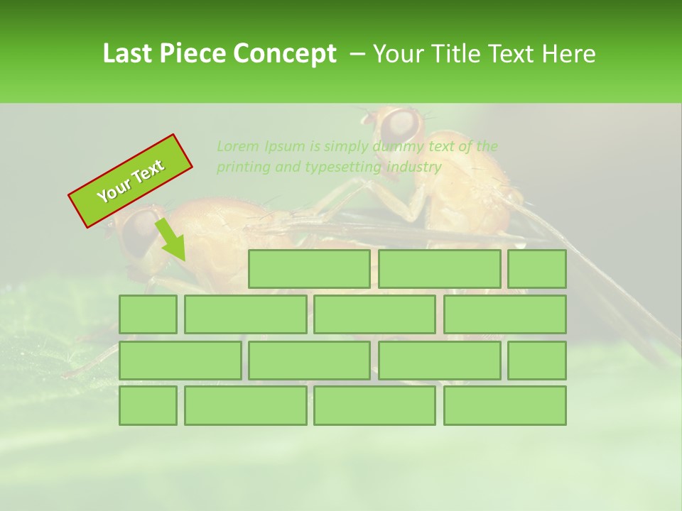 Standing Life Pensioner PowerPoint Template