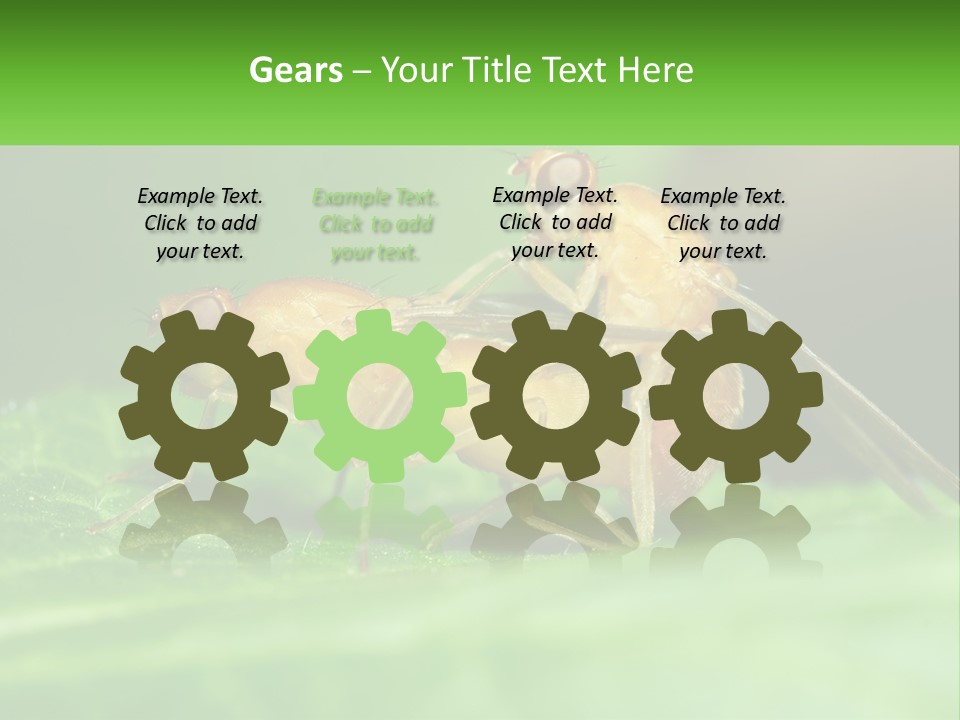 Standing Life Pensioner PowerPoint Template