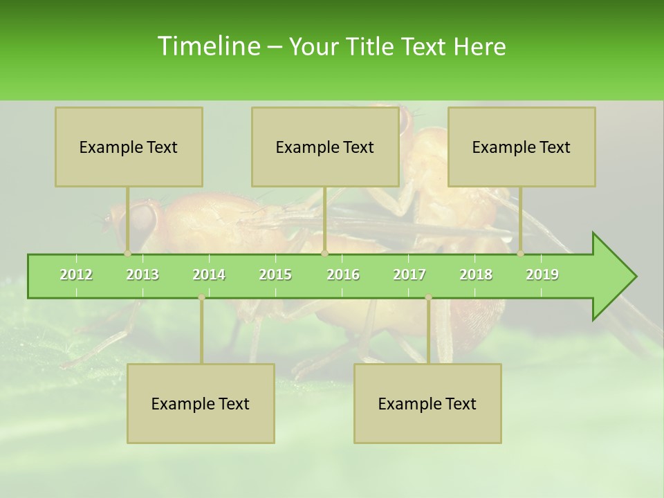 Standing Life Pensioner PowerPoint Template