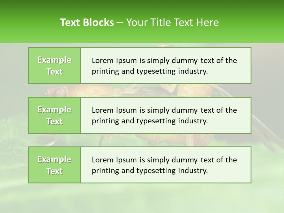 Standing Life Pensioner PowerPoint Template