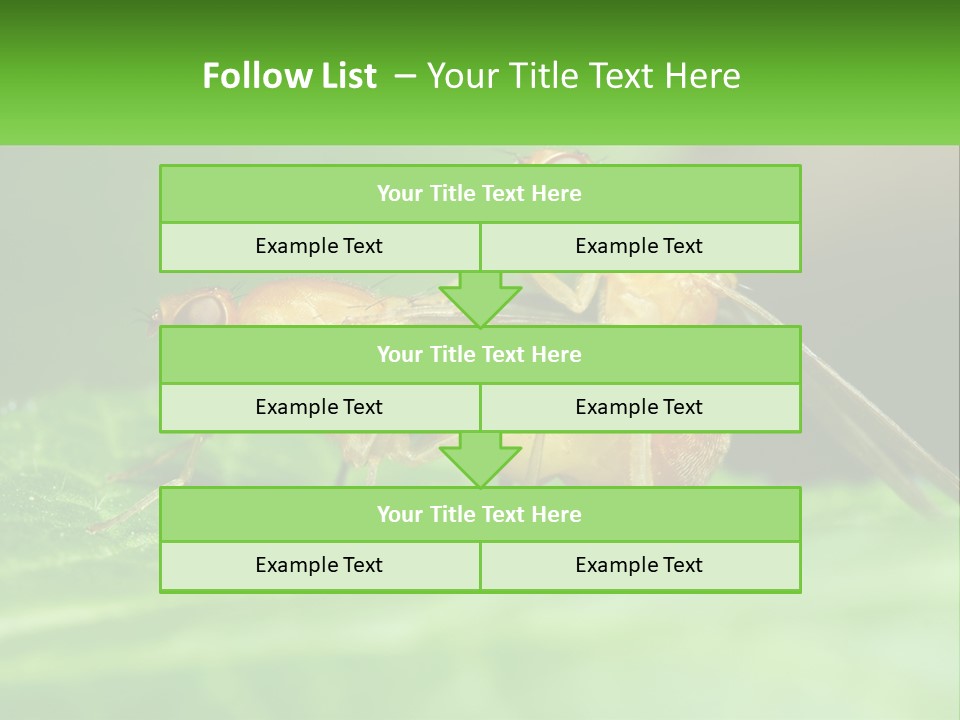 Standing Life Pensioner PowerPoint Template