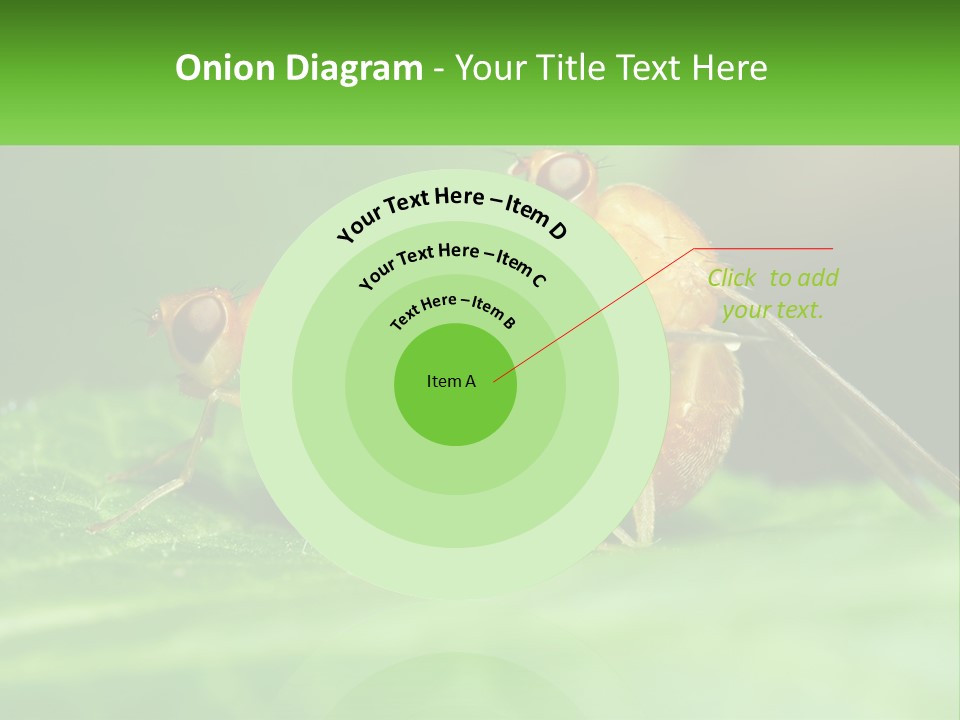 Standing Life Pensioner PowerPoint Template