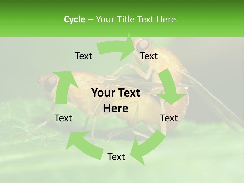 Standing Life Pensioner PowerPoint Template