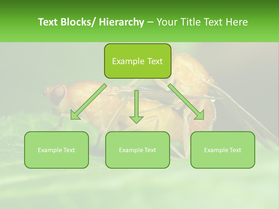 Standing Life Pensioner PowerPoint Template