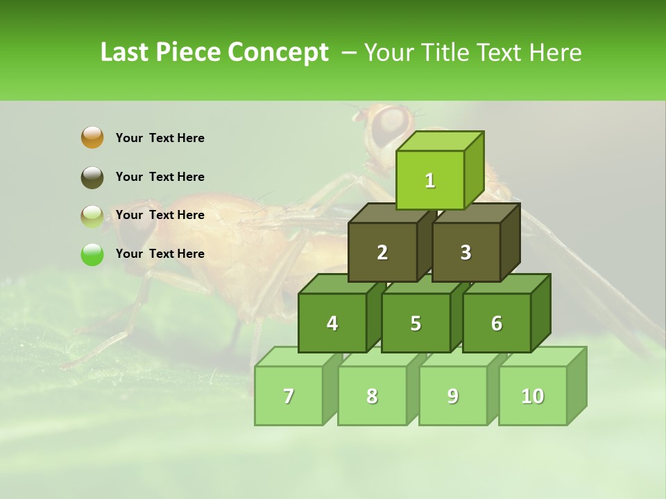 Standing Life Pensioner PowerPoint Template