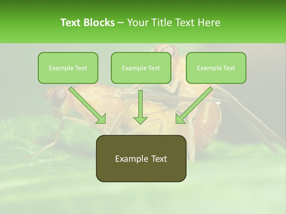 Standing Life Pensioner PowerPoint Template