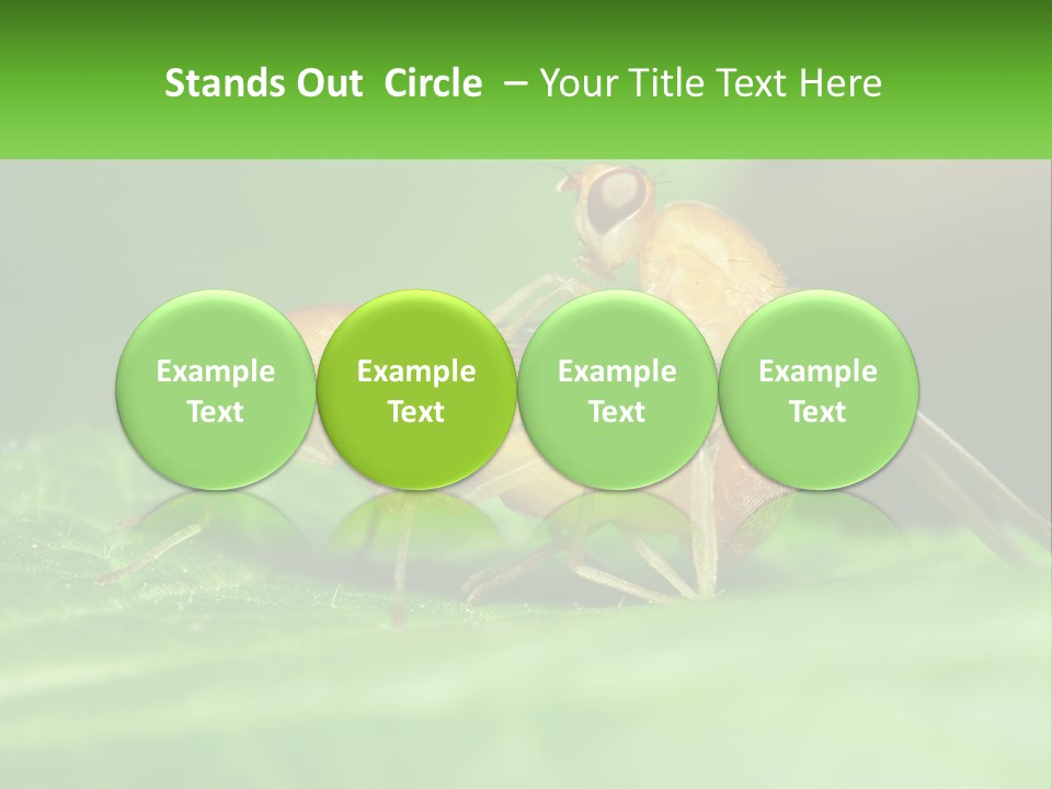 Standing Life Pensioner PowerPoint Template