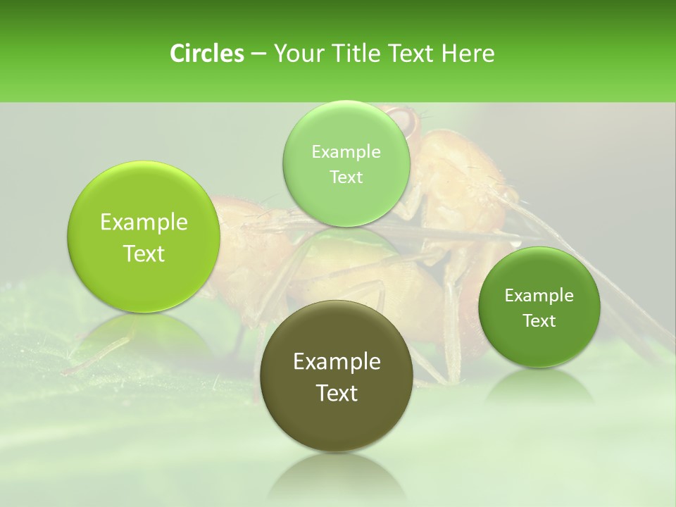 Standing Life Pensioner PowerPoint Template