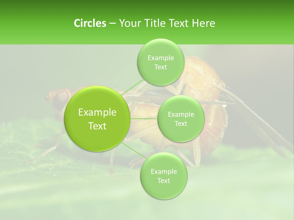 Standing Life Pensioner PowerPoint Template